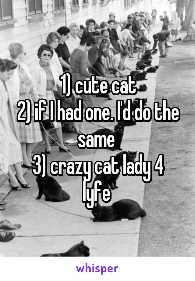 1) cute cat
2) if I had one. I'd do the same 
3) crazy cat lady 4 lyfe 