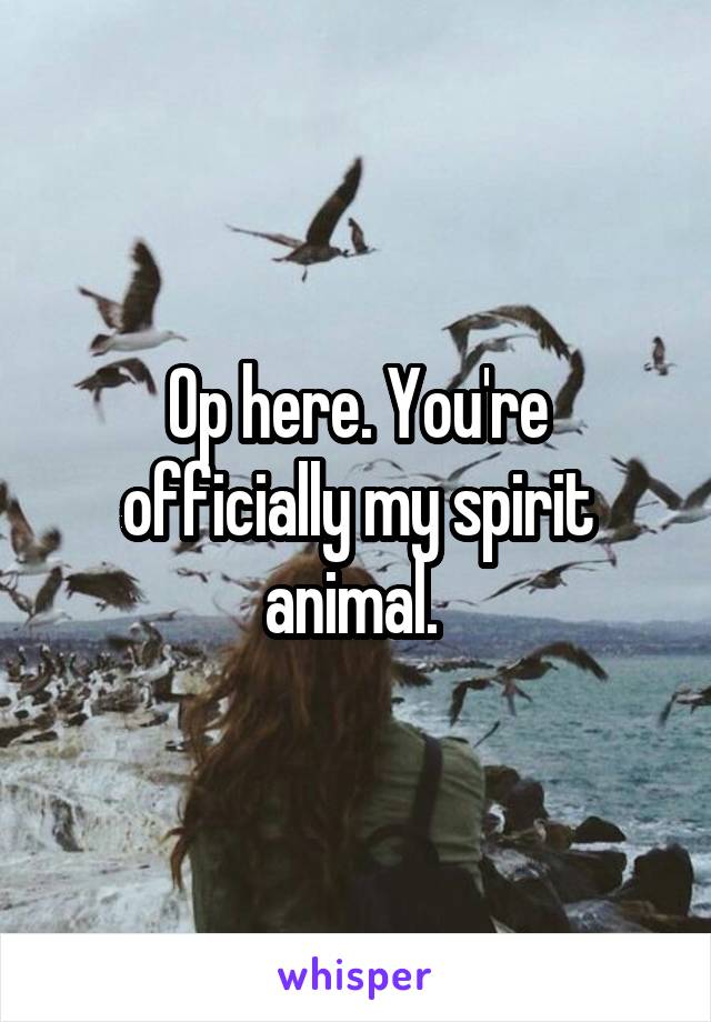 Op here. You're officially my spirit animal. 