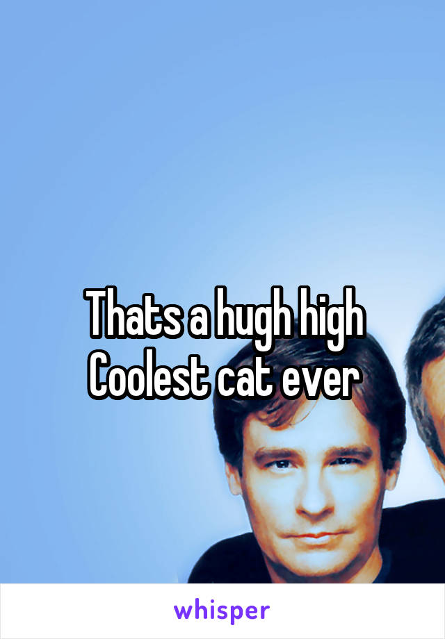 
Thats a hugh high
Coolest cat ever