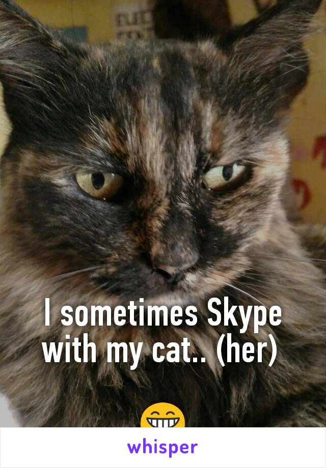 I sometimes Skype with my cat.. (her) 

😁