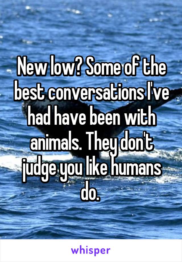 New low? Some of the best conversations I've had have been with animals. They don't judge you like humans do. 