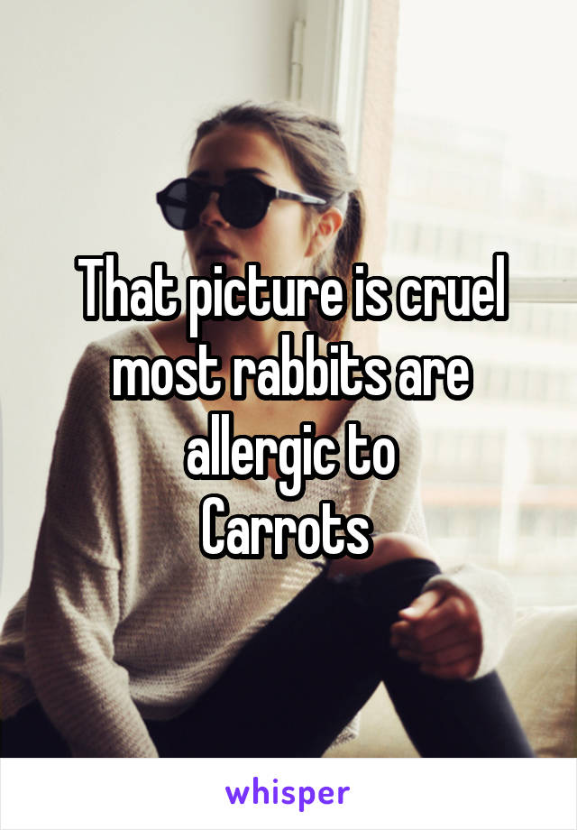 That picture is cruel most rabbits are allergic to
Carrots 