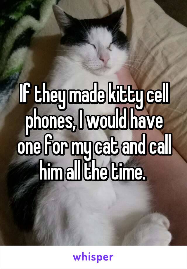 If they made kitty cell phones, I would have one for my cat and call him all the time. 