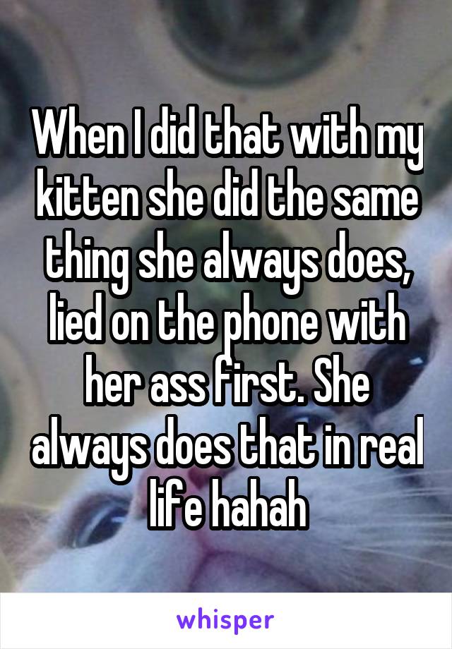 When I did that with my kitten she did the same thing she always does, lied on the phone with her ass first. She always does that in real life hahah