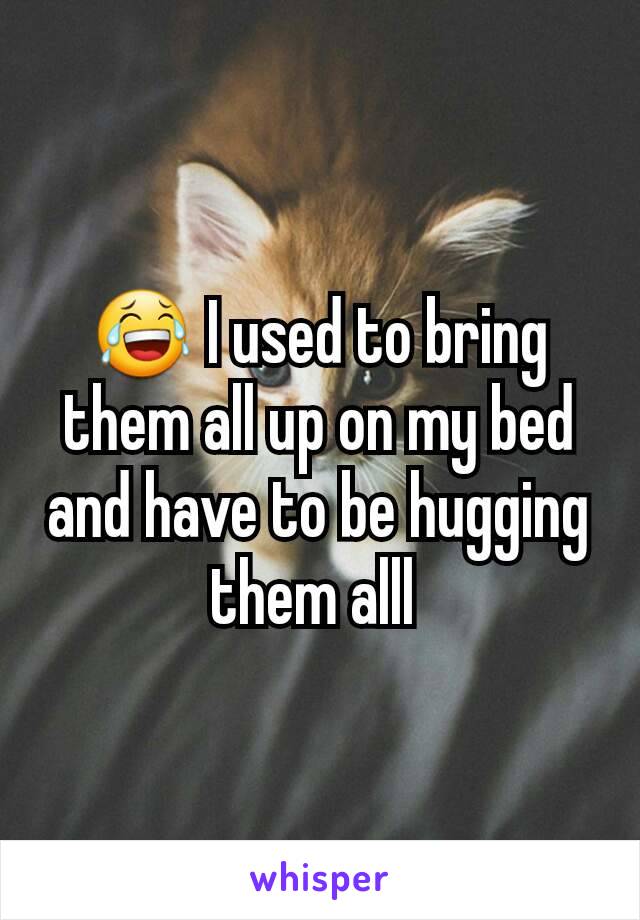 😂 I used to bring them all up on my bed and have to be hugging them alll 