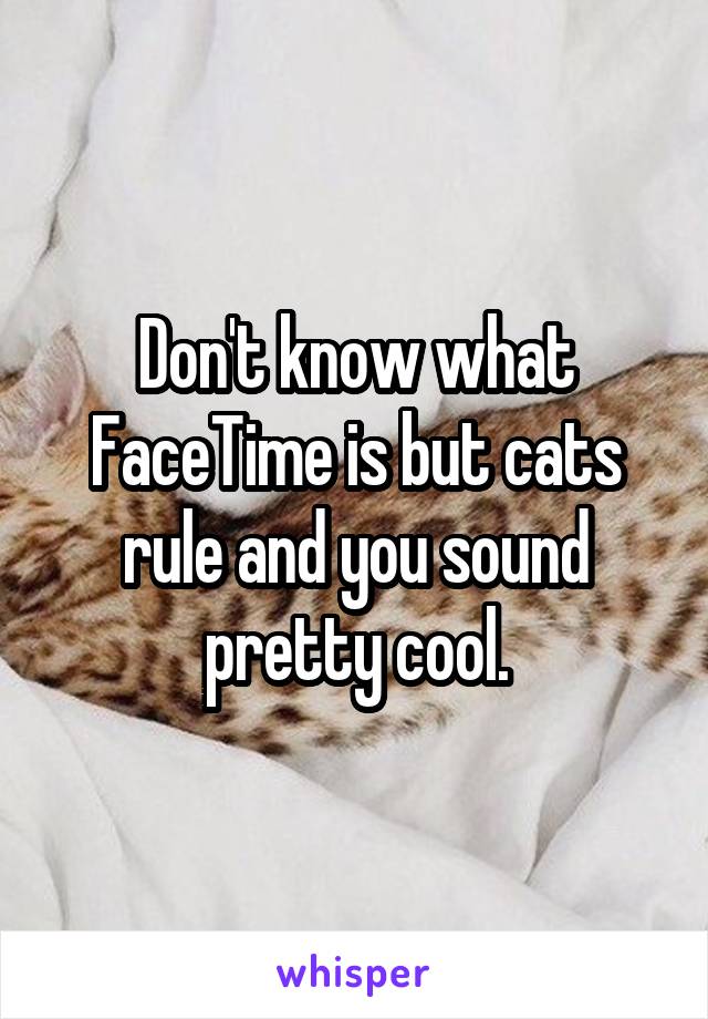 Don't know what FaceTime is but cats rule and you sound pretty cool.