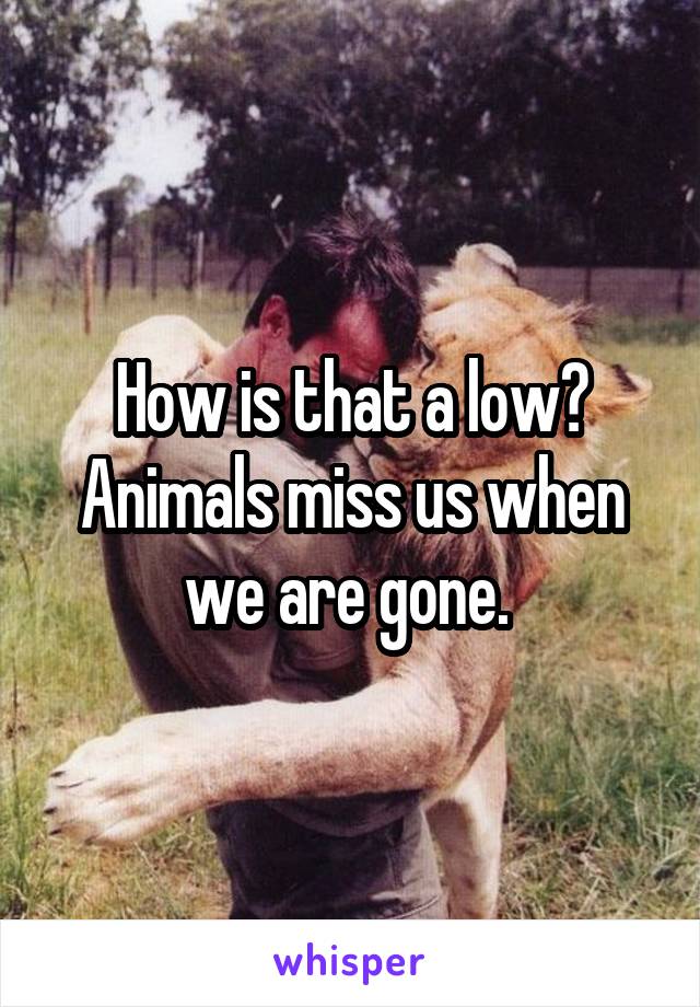 How is that a low? Animals miss us when we are gone. 