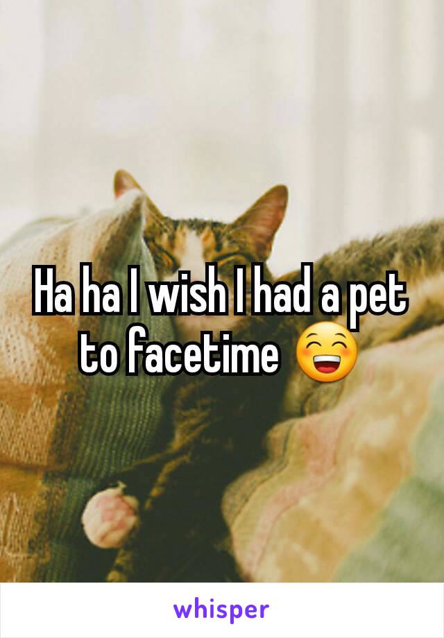 Ha ha I wish I had a pet to facetime 😁