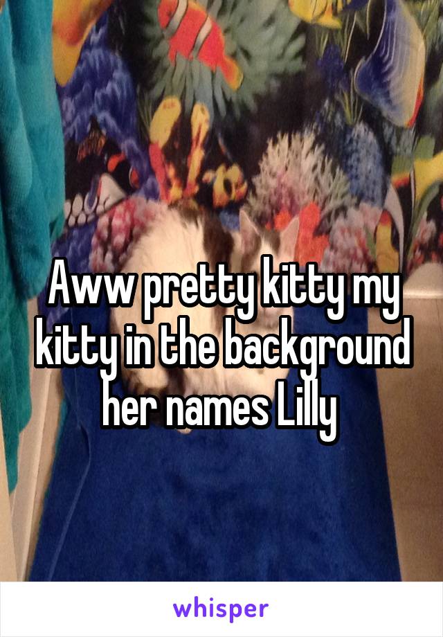                                      Aww pretty kitty my kitty in the background her names Lilly 