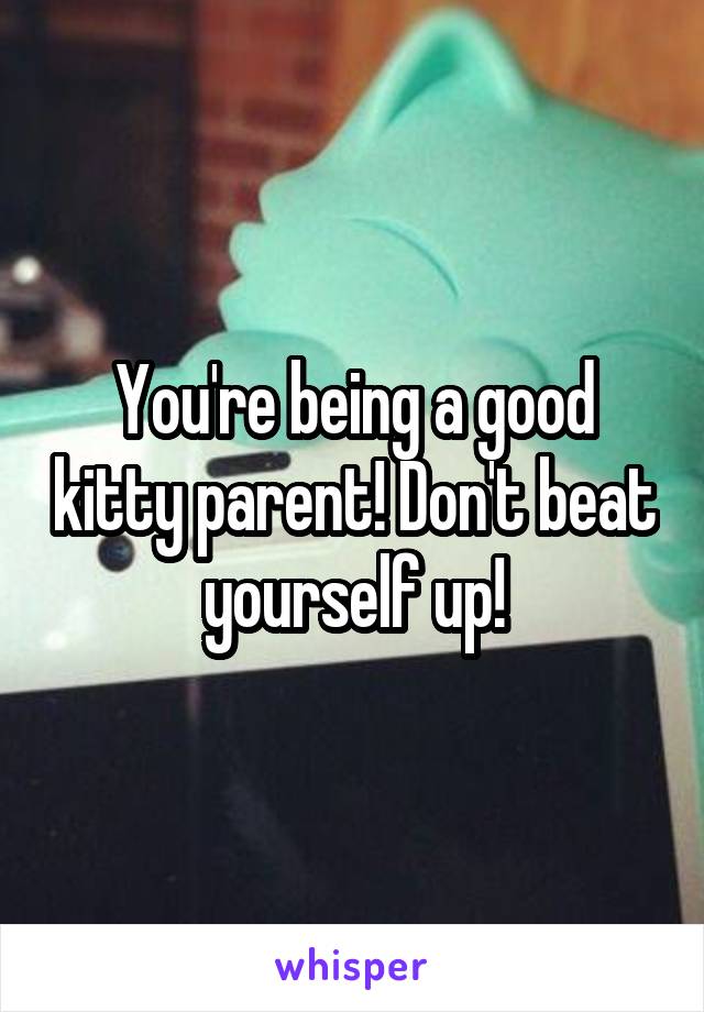 You're being a good kitty parent! Don't beat yourself up!