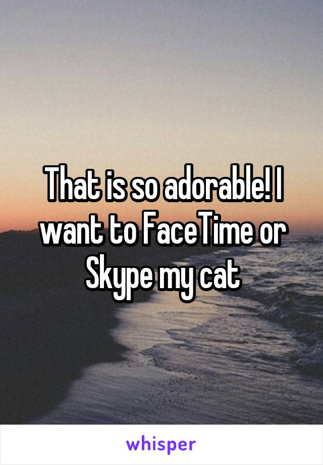 That is so adorable! I want to FaceTime or Skype my cat