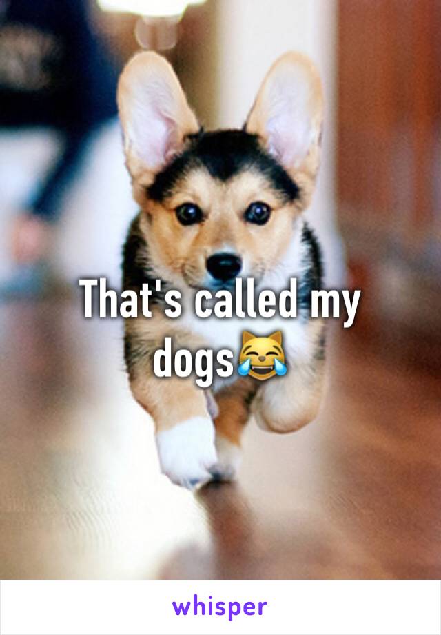 That's called my dogs😹