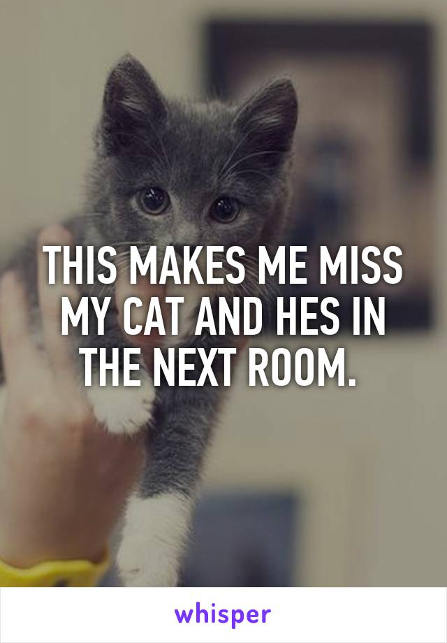 THIS MAKES ME MISS MY CAT AND HES IN THE NEXT ROOM. 