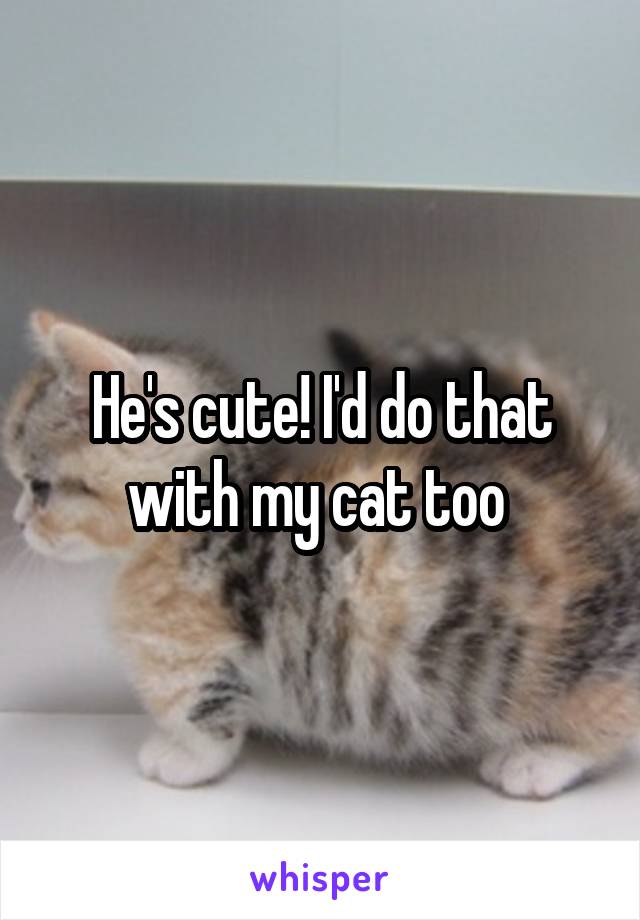 He's cute! I'd do that with my cat too 