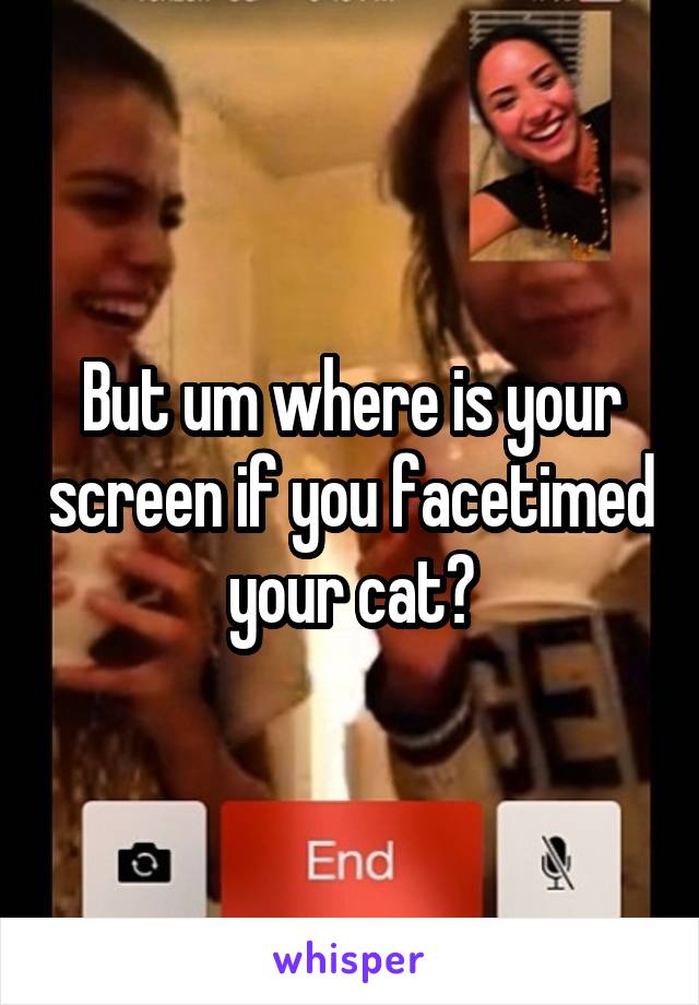 But um where is your screen if you facetimed your cat?