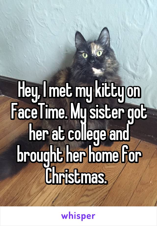 

Hey, I met my kitty on FaceTime. My sister got her at college and brought her home for Christmas.  