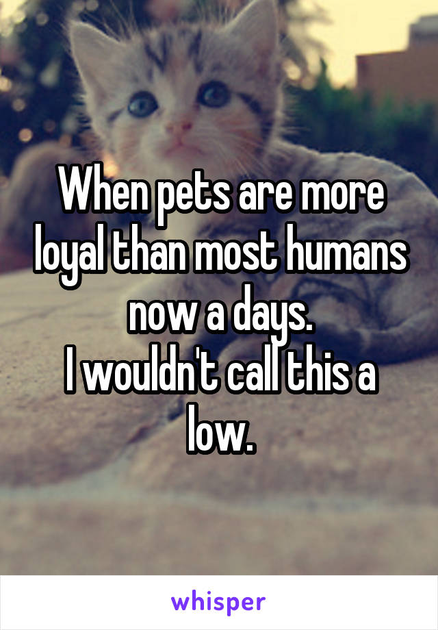 When pets are more loyal than most humans now a days.
I wouldn't call this a low.