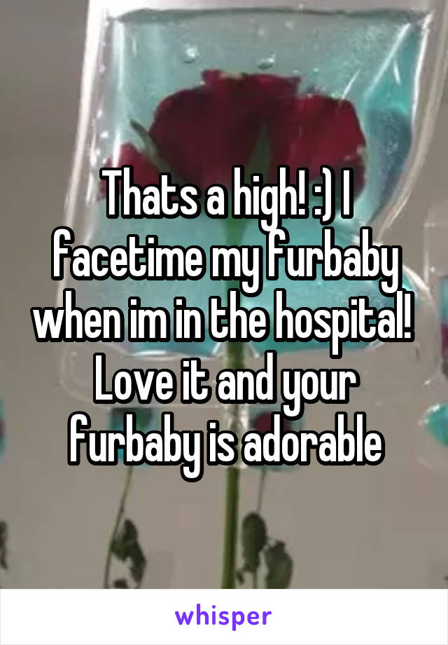 Thats a high! :) I facetime my furbaby when im in the hospital! 
Love it and your furbaby is adorable