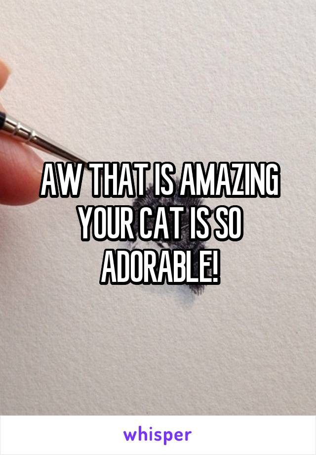 AW THAT IS AMAZING YOUR CAT IS SO ADORABLE!