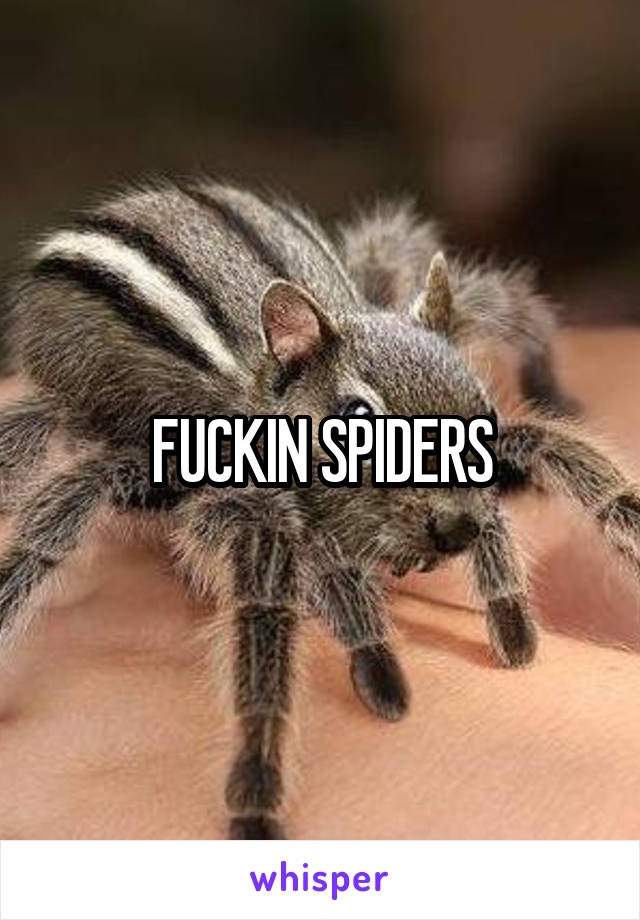 FUCKIN SPIDERS