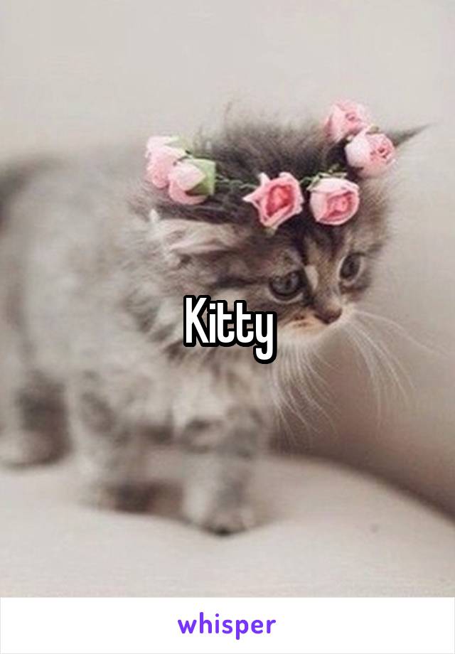 Kitty