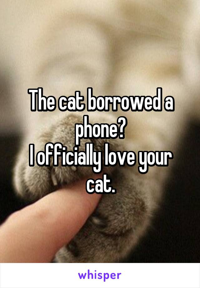 The cat borrowed a phone?
I officially love your cat.