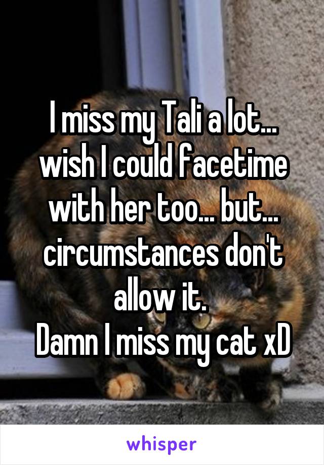 I miss my Tali a lot... wish I could facetime with her too... but... circumstances don't allow it. 
Damn I miss my cat xD