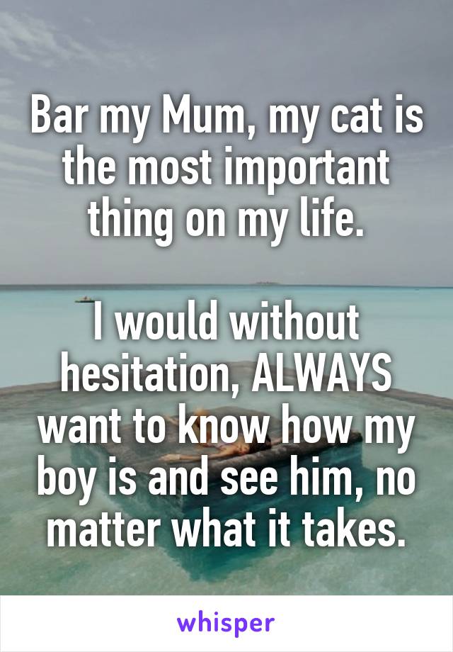 Bar my Mum, my cat is the most important thing on my life.

I would without hesitation, ALWAYS want to know how my boy is and see him, no matter what it takes.