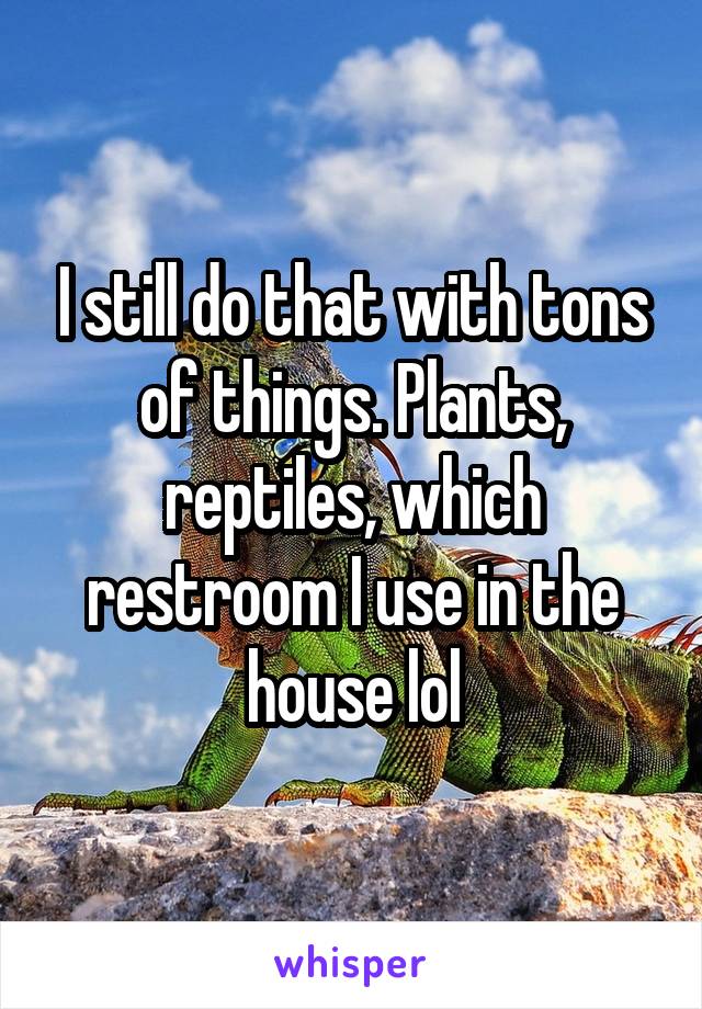 I still do that with tons of things. Plants, reptiles, which restroom I use in the house lol