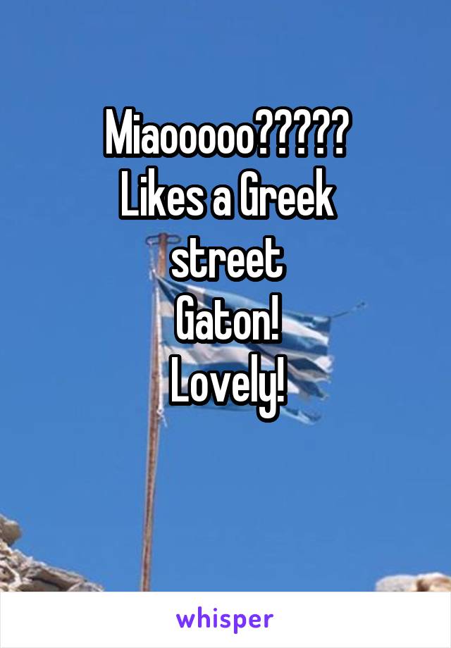 Miaooooo?????
Likes a Greek
street
Gaton!
Lovely!

