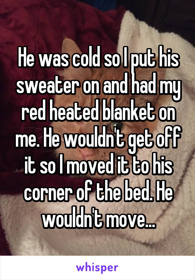 He was cold so I put his sweater on and had my red heated blanket on me. He wouldn't get off it so I moved it to his corner of the bed. He wouldn't move...