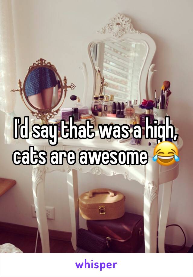 I'd say that was a high, cats are awesome 😂