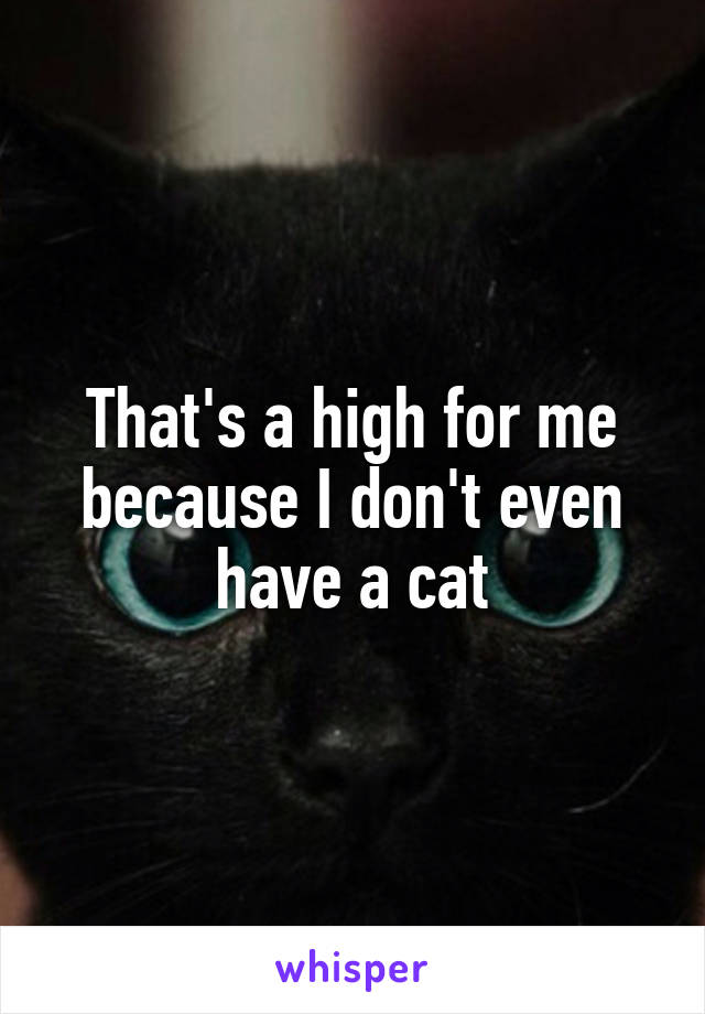 That's a high for me because I don't even have a cat