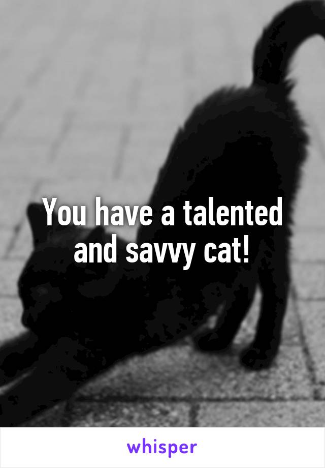 You have a talented and savvy cat!