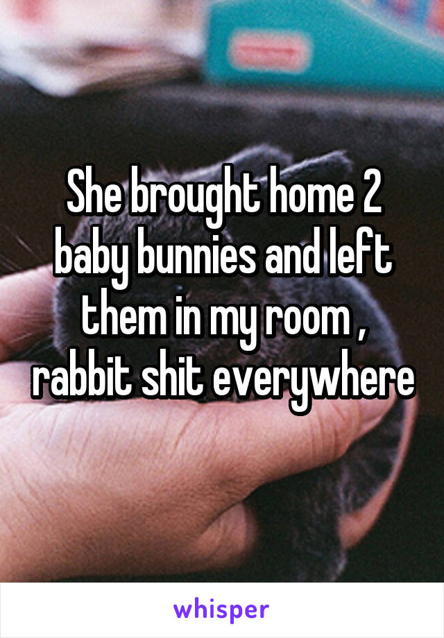 She brought home 2 baby bunnies and left them in my room , rabbit shit everywhere 