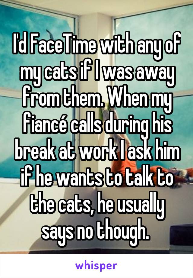 I'd FaceTime with any of my cats if I was away from them. When my fiancé calls during his break at work I ask him if he wants to talk to the cats, he usually says no though. 