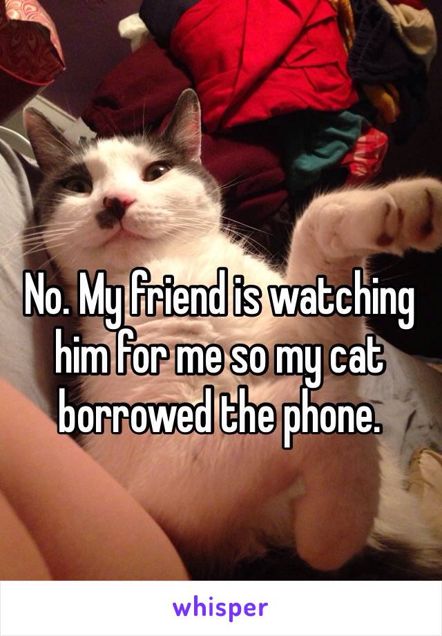 No. My friend is watching him for me so my cat borrowed the phone. 