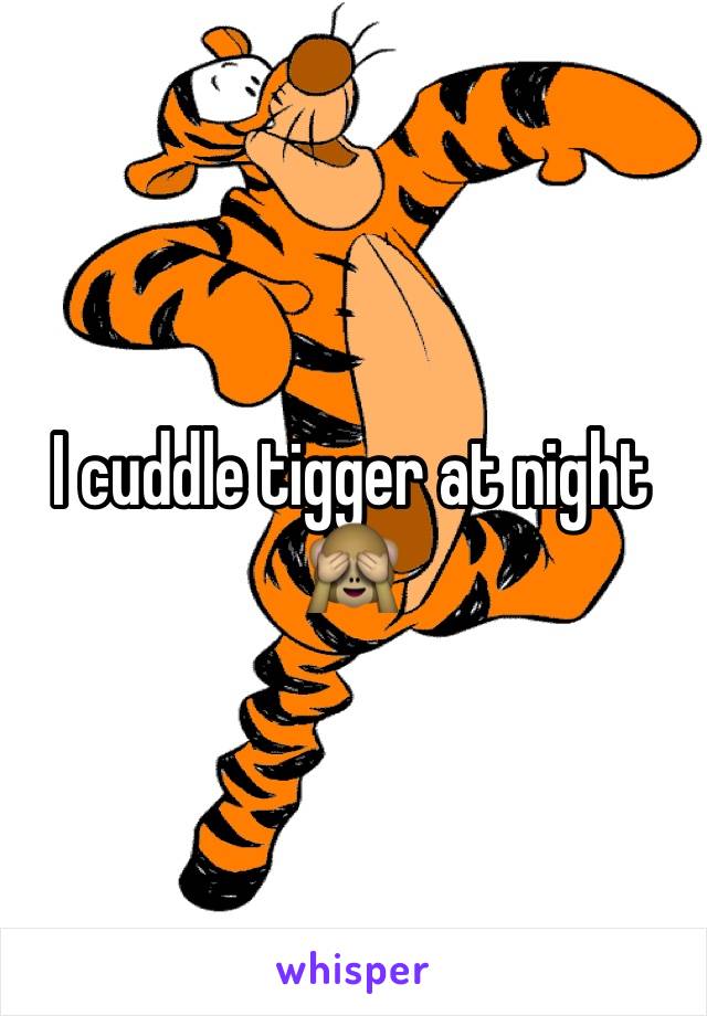 I cuddle tigger at night 🙈