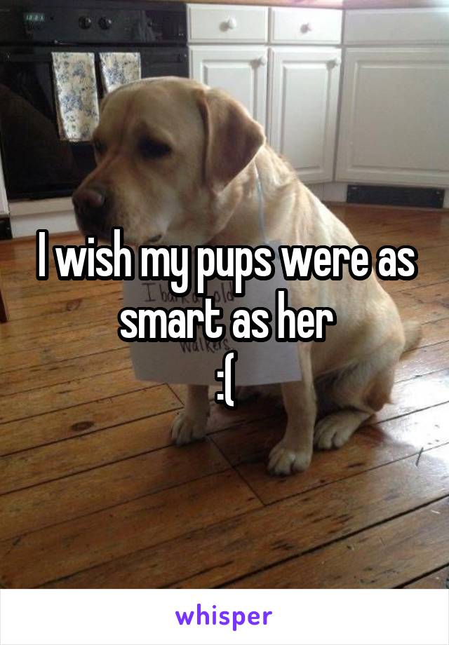 I wish my pups were as smart as her
:(