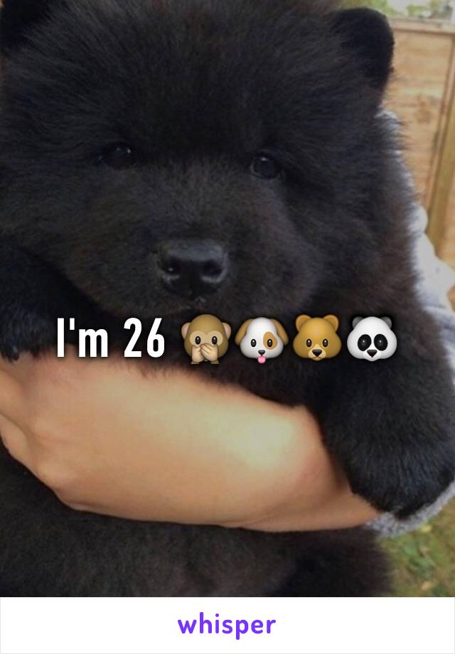 I'm 26 🙊🐶🐻🐼