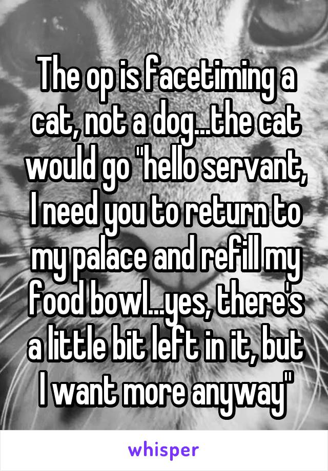 The op is facetiming a cat, not a dog...the cat would go "hello servant, I need you to return to my palace and refill my food bowl...yes, there's a little bit left in it, but I want more anyway"