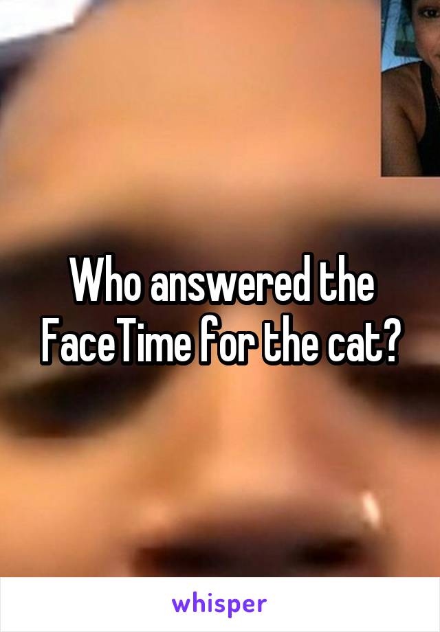 Who answered the FaceTime for the cat?