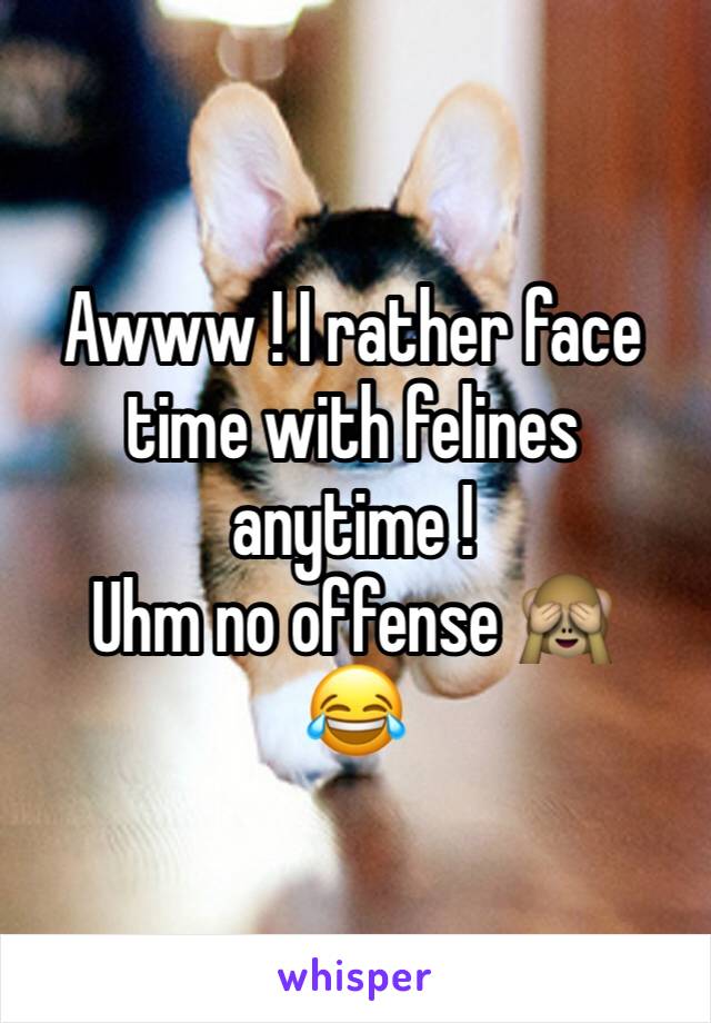 Awww ! I rather face time with felines anytime !
Uhm no offense 🙈
😂