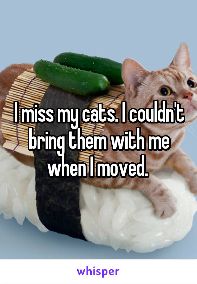 I miss my cats. I couldn't bring them with me when I moved. 
