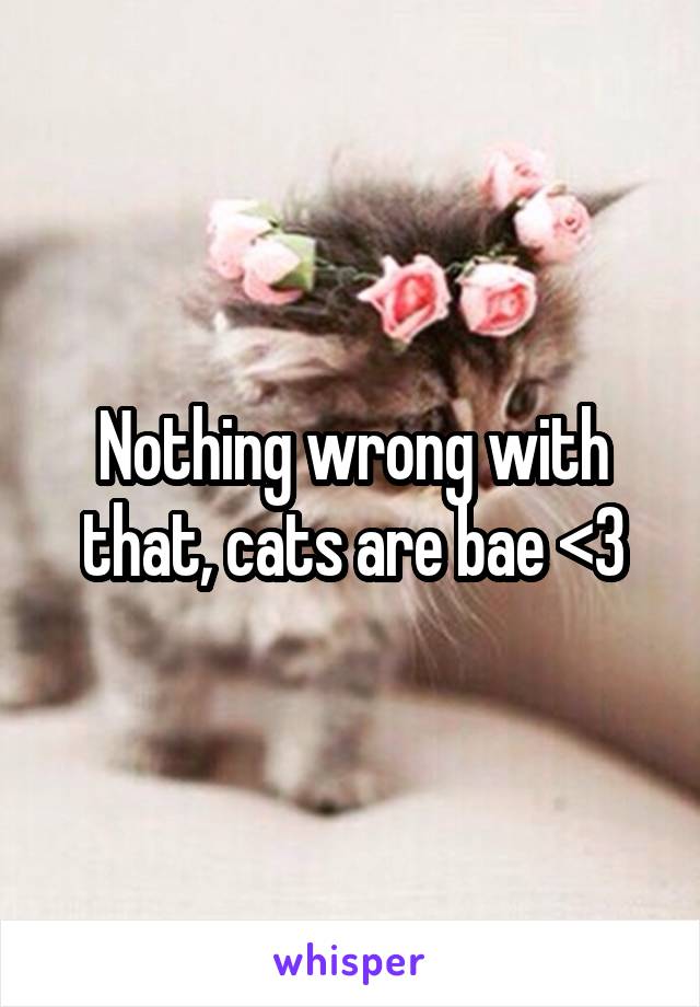 Nothing wrong with that, cats are bae <3