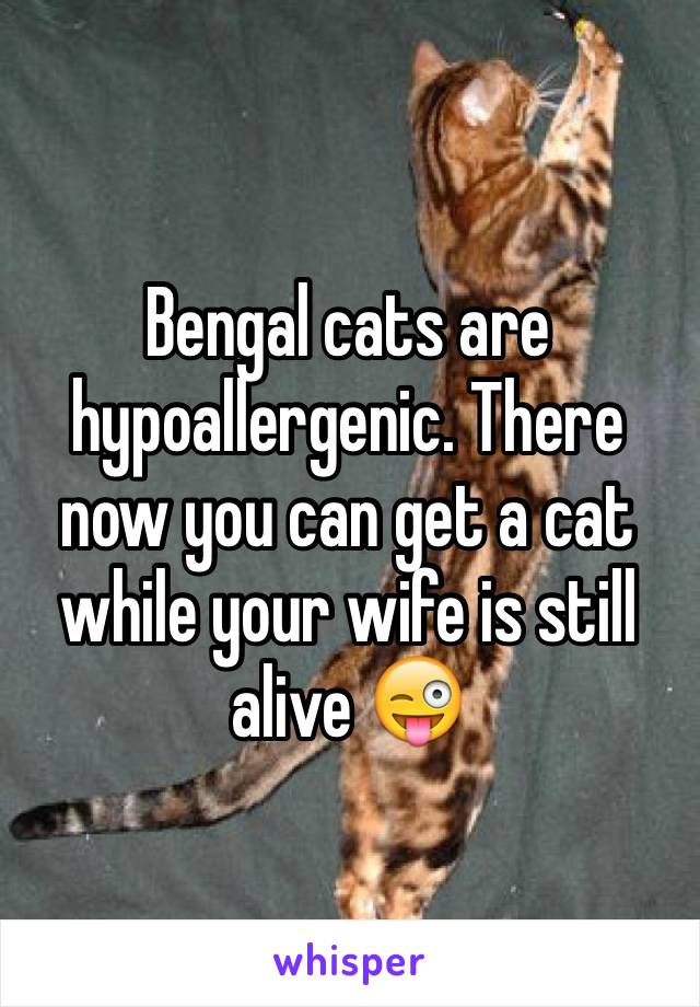Bengal cats are hypoallergenic. There now you can get a cat while your wife is still alive 😜