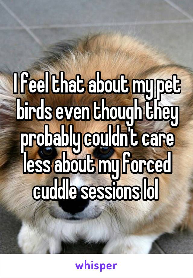 I feel that about my pet birds even though they probably couldn't care less about my forced cuddle sessions lol 