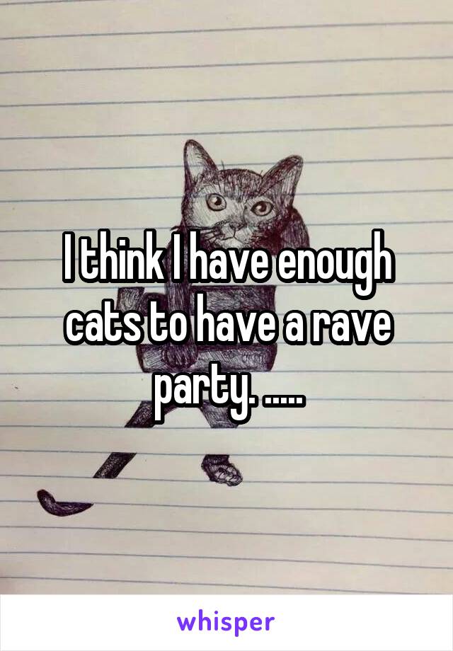 I think I have enough cats to have a rave party. .....