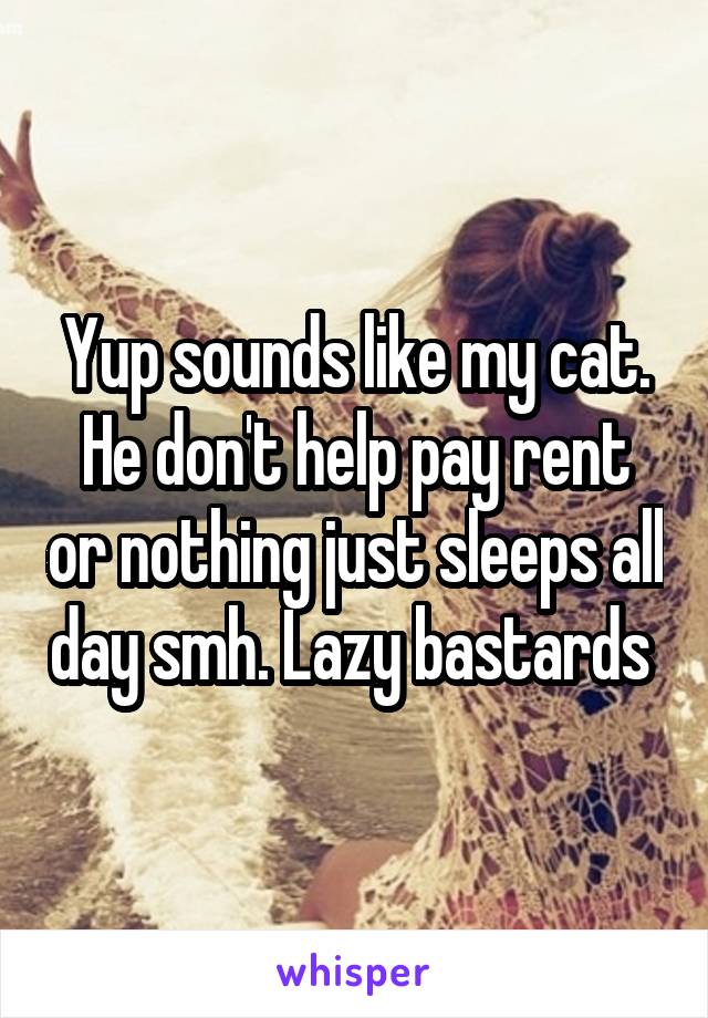 Yup sounds like my cat. He don't help pay rent or nothing just sleeps all day smh. Lazy bastards 