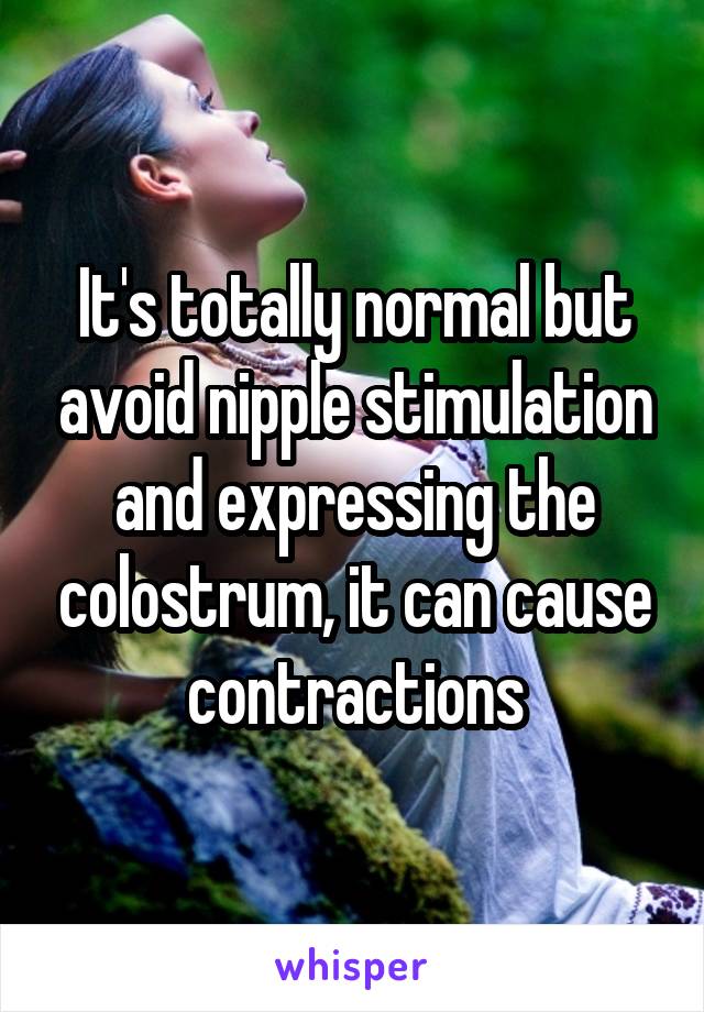 It's totally normal but avoid nipple stimulation and expressing the colostrum, it can cause contractions